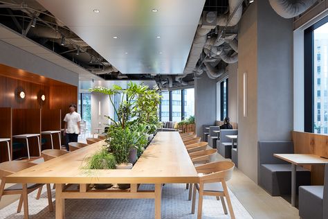 Cafeteria Design, Delta House, Office Interior Design Modern, Communal Table, Green Office, Office Lounge, Big Table, Public Seating, Open Office