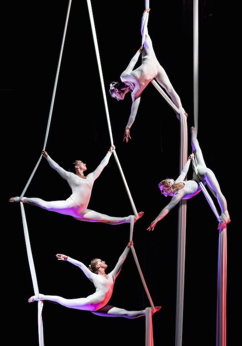 Moulin Rouge Dancers, Partner Acrobatics, Ballerina Poses, Circus Performer, Circus Aesthetic, Aerial Silk, Corporate Entertainment, Aerial Acrobatics, Social Dance