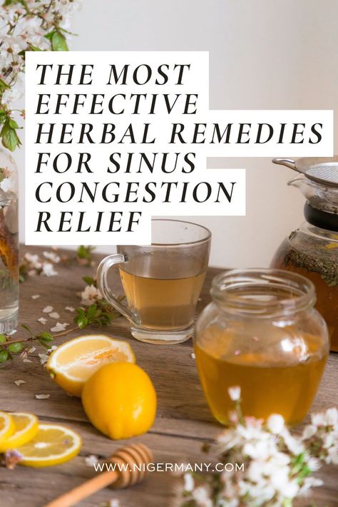 Discover the top herbal remedies for relieving sinus congestion, including essential oils and plants to combat nasal mucus and sinus problems. Remedies For Sinus Congestion, Relieve Sinus Congestion, Congestion Remedies, Sinus Remedies, Remedy For Sinus Congestion, Home Remedy For Headache, Home Remedies For Sinus, Sinus Congestion Relief, Natural Remedies For Migraines