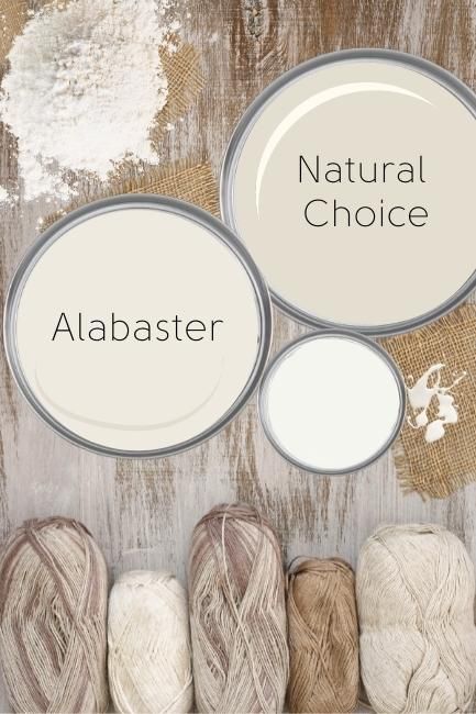 Sherwin Williams Natural Choice vs Alabaster (Which to Choose?) – Mod & Mood Sherwin Williams Natural Choice, Paint Color Inspiration, House Color Palettes, Farmhouse Paint, Paint Color Schemes, Neutral Paint Colors, Favorite Paint Colors, Sherwin Williams Paint Colors, White Paint Colors