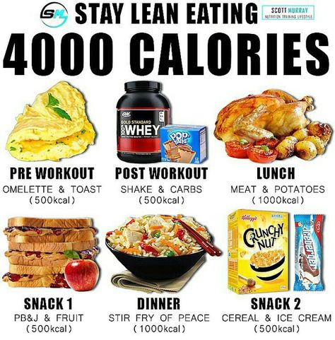 Bulking Meal Plan, Bulking Meals, Muscle Gain Meal Plan, Healthy Weight Gain Foods, Food To Gain Muscle, Weight Gain Meals, Healthy High Protein Meals, Calorie Meal Plan, Healthy Weight Gain