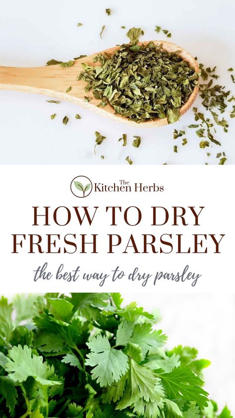 How To Preserve Parsley From The Garden, Fresh Parsley Storage, How To Use Fresh Parsley, How To Preserve Fresh Parsley, Dry Parsley In Oven, Preserving Fresh Parsley, Parsley Preserving, Dry Parsley How To, Dried Parsley Recipes