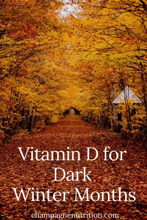 How to Get Vitamin D in the Winter | foods that can help meet your needs How To Get Vitamin D Naturally, Winter Vitamins, Vitamin D Foods, Autumn Recipes Vegetarian, Winter Foods, Cozy Fall Recipes, Best Healthy Diet, Healthy Life Hacks, Nutrition Articles