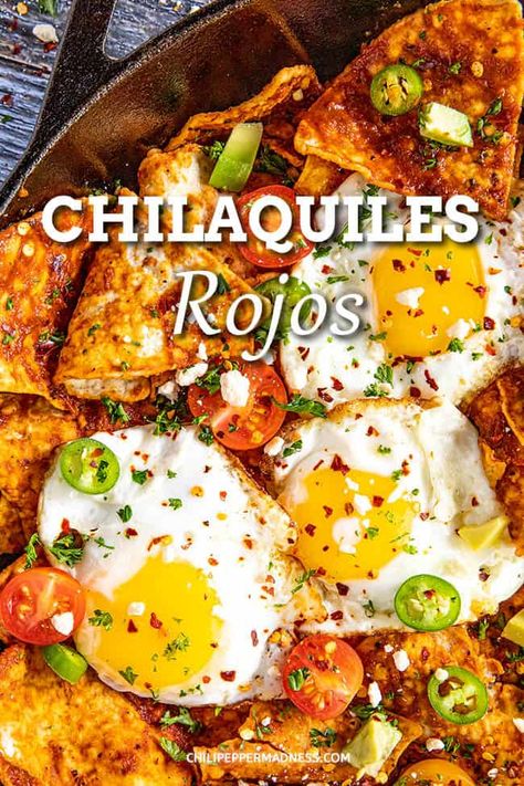 Chilaquales Recipe (Chilaquiles Rojos) - This chilaquiles recipe is the ultimate Mexican breakfast with crispy tortillas tossed with zesty red sauce, topped with fried eggs and more. Mexican Brunch Recipes, Chilaquiles Recipe Mexican Authentic, Chili Quiles Recipes, Chillaquilles Recipe, Chilaquiles Recipe Mexican, Red Chilaquiles Recipe, Chilaquiles Rojos Recipe, Chili Breakfast, Chilaquiles Casserole