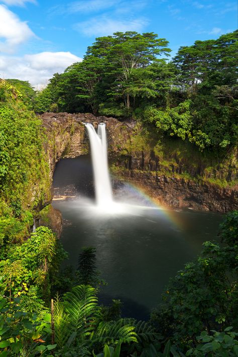 Here is a classic view of Rainbow Falls in the morning. Many tourists ask me why they never see a rainbow here. Show up early, I tell them! If the sun rises too high, the rainbow is no longer going to be there. Show up early, and you will most likely be lucky enough to see the rainbow that gives this waterfall its name. Rainbow Falls is located on the Big Island of Hawaii in the city of Hilo. Big Island Volcano, Hawaii Waterfalls, Hawaii Landscape, Rainbow Waterfall, Hawaii Adventures, Hawaii Photography, Rainbow Falls, The Sun Rises, Sun Rises