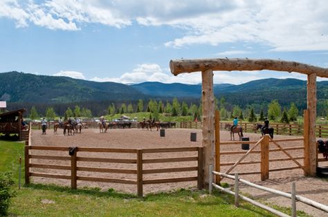 love how the arena looks (the wood is gorgeous) Horse Riding Arena, Riding Arena, Horse Arena, Dream Horse Barns, Horse Facility, Riding Arenas, Future Farms, Equestrian Facilities, Dream Barn