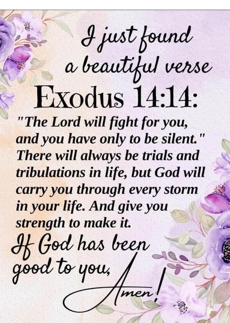 Daily Messages From God, Friday Inspirational Quotes Positivity, Blessings Quotes Inspiration Prayer, Kjv Bible Verses Encouragement, Encouragement Quotes For Women, Divine Inspiration And Prayers, Encouraging Scripture Quotes, Christian Good Morning Quotes, Good Morning Prayer Quotes