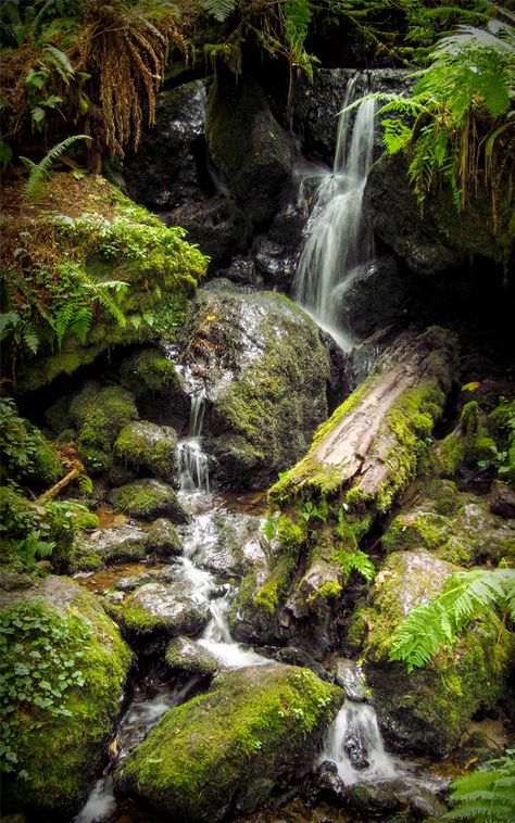 Trillium Falls, Glacier National Park - photo by Nathan Smith Taman Air, National Park Photos, Pond Design, Vivarium, Glacier National, Glacier National Park, Nature Aesthetic, Japanese Garden, Fantasy Landscape