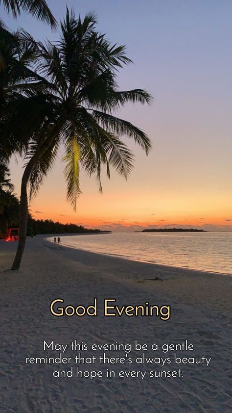 Good Evening Sms, Good Morning Quotes Friendship, Evening Wishes, Good Evening Messages, Good Evening Wishes, Evening Quotes, Good Evening Greetings, Evening Greetings, Night Greetings