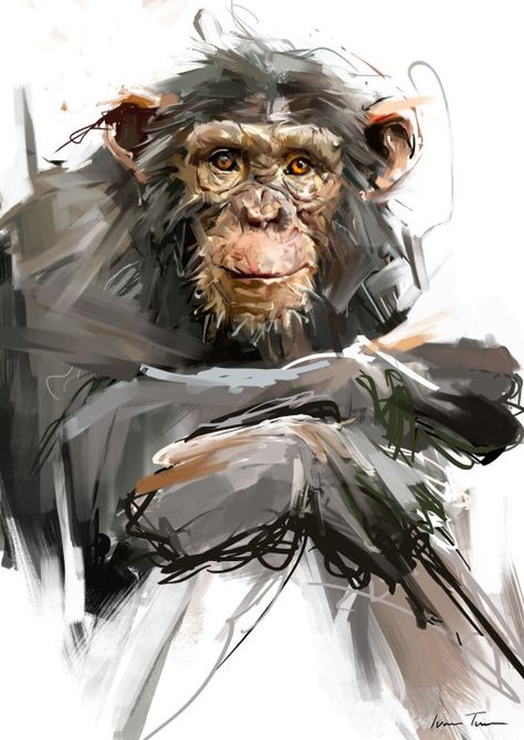 Contemporary Wildlife Art, Wildlife Artwork, Monkey Art, Nick Cave, Wildlife Paintings, 캐릭터 드로잉, Hur Man Målar, Animals Artwork, African Animals