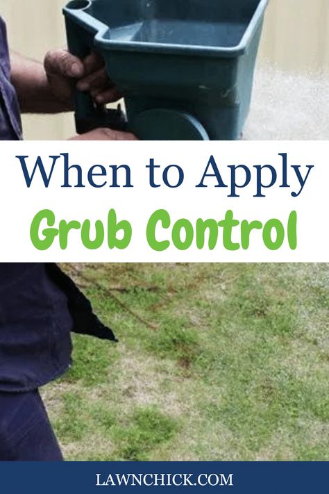 If you've seen signs that there is a grub infestation on your lawn, you should take action. These pests can cause a lot of damage. In this blog post, you'll find out when you should apply grub control. Plus, you'll discover other essential information, including the symptoms of a grub infestation, what you should do after you apply grub control pesticide, and more. If you want all the best tips and tricks for getting rid of grubs, this is the blog post for you. How To Get Rid Of Stickers In Your Yard, Grubs How To Get Rid Of, Get Rid Of Grubs In Lawn, How To Get Rid Of Grubs In The Garden, How To Get Rid Of Grubs In Lawn, Grubs In Lawn, Fall Lawn Care Tips, Grub Control In Lawns, Lawn Problems