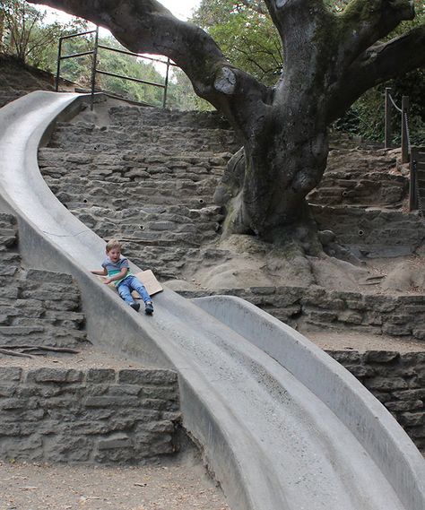 Summer In San Francisco, Berkeley Hills, West Coast Travel, California Bucket List, Hillside Landscaping, Backyard Playground, East Bay, California Dreaming, Slide In