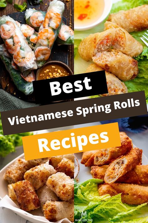 TOP 15 VIETNAMESE SPRING ROLL RECIPES: CLASSIC TO CREATIVE Spring Roll Filling Ideas, Easy Spring Rolls Recipe, Spring Roll Recipes, Asian Wraps, Veggie Tacos Recipes, Vietnamese Fried Spring Rolls, Asian Spring Rolls, Fresh Spring Rolls Recipe, Easy Spring Rolls