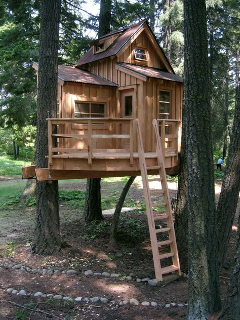 Adult Tree House, Backyard Treehouse, Simple Tree House, Beautiful Tree Houses, Building A Treehouse, Tree House Plans, Tree Fort, Tree House Diy, Tree House Kids