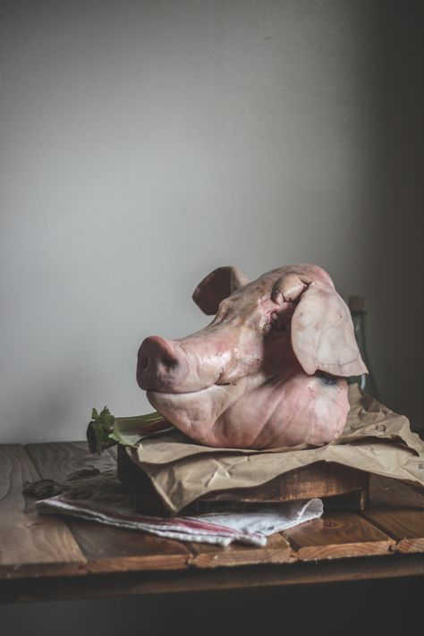 Head Cheese With Rosemary & Carrots - Adventures in Cooking Rosemary Carrots, Meat Photography, Offal Recipes, Meat Art, Head Cheese, Lithuanian Recipes, Pig Head, Food Photography Tips, How To Make Sausage