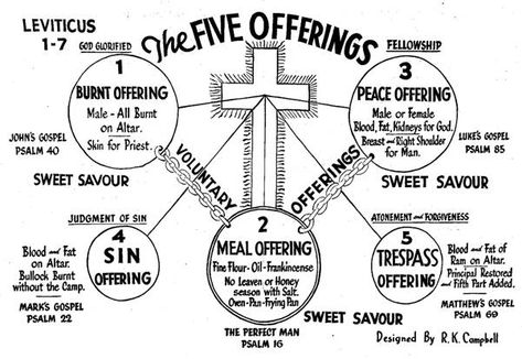 The Five Offerings Of Leviticus 1-7: Chart And Breif Outline :: RK Campbell Burnt Offerings Bible, Leviticus Bible Study, Bible Charts, Jewish Feasts, Woord Van God, Bible Study Help, Bible History, Bible Study Notebook, Bible Study Tools