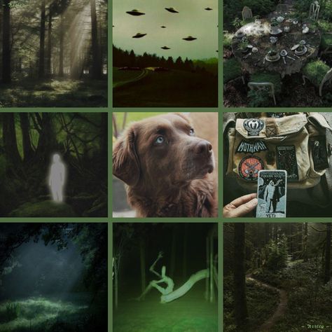 Dog F2u Base, Plague Doctor Moodboard, Green Dog Aesthetic, Fallout Moodboard, Moxxie Aesthetic, Alien Moodboard, Animal Moodboard, Forest Moodboard, Dog Moodboard