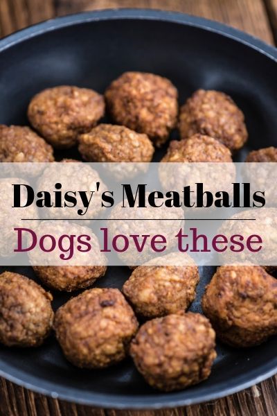 Meatballs For Dogs Recipes, Dog Food For Kidney Problems, Thanksgiving Meal For Dogs, Dog Food Add Ins, Dog Meatballs, Meatballs For Dogs, Dog Food Recipes Crockpot, Dog Breakfast, Foods Dogs Can Eat