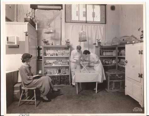 Vintage medical office 1930's They have so much ROOM compared to our nsg station! Medical Photos, Medical Dental, Vintage Nurse, Medical Practice, Medical Office, Doctor Office, Vintage Medical, Medical Humor, Medical History