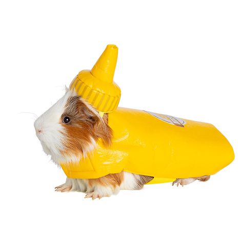 Thrills & Chills™ Small Animal Mustard Costume | small pet Small Pet Costumes | PetSmart Mustard Costume, Pet Stores, Small Pet, Pet Food, Guinea Pig, Mustard Bottle, Bottle Design, Pet Toys, Mustard