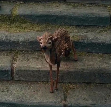 Qilin Fantastic Beasts, Fantastic Beasts And Where To Find Them Aesthetic, Fantastic Beasts Qilin, Fantastic Beasts Aesthetic, Harry Potter Animals, Harry Potter Magical Creatures, Harry Potter Beasts, Fantastic Beasts Creatures, Harry Potter Creatures