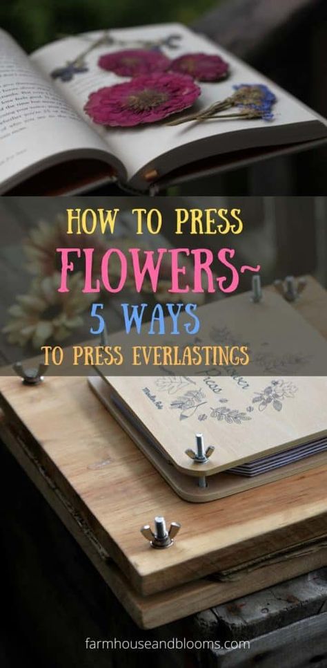 How To Press Flowers - 5 Ways To Press Everlastings - Farmhouse & Blooms Flower Press Book, Flower Power Art, Pressed Flowers Diy, Press Flowers, Pressing Flowers, Dried Flowers Diy, Pressed Flower Crafts, Pressed Leaves, Quick Diy