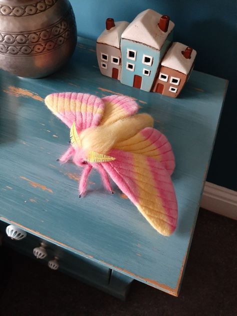 Felted moth sculpture of a fluffy moth in pink and yellow colours Needle Felted Moth, Felted Moth, Moth Outfit, Felt Moth, Felt Bugs, Bug Display, Moth Sculpture, Moth Embroidery, Cottagecore Crafts