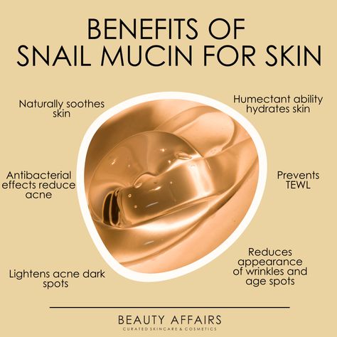 Snail Mucin Benefits, Beauty Affairs, Snail Mucin Skincare, Essence Korean, Snail Mucin Essence, Skincare Basics, Advanced Snail 96, Snail 96 Mucin, Snail 96