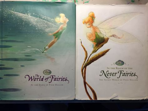 Disney Fairies Books, Two Fairies, Pixie Hallow, Pixie Hollow Fairies, Disney Faries, Disney Fairies Pixie Hollow, Tinkerbell And Friends, Pixie Hollow, Disney Fairy