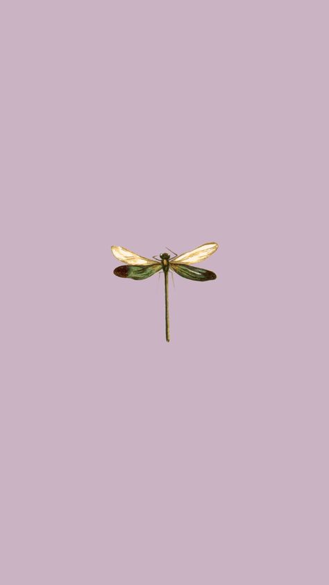 Purple Dragonfly Wallpaper, Dragon Fly Background, Dragonfly Wallpaper Iphone, Dragonfly Wallpaper, Purple Y2k, Cute Images For Wallpaper, Screen Savers Wallpapers, Music Poster Design, Dragon Fly