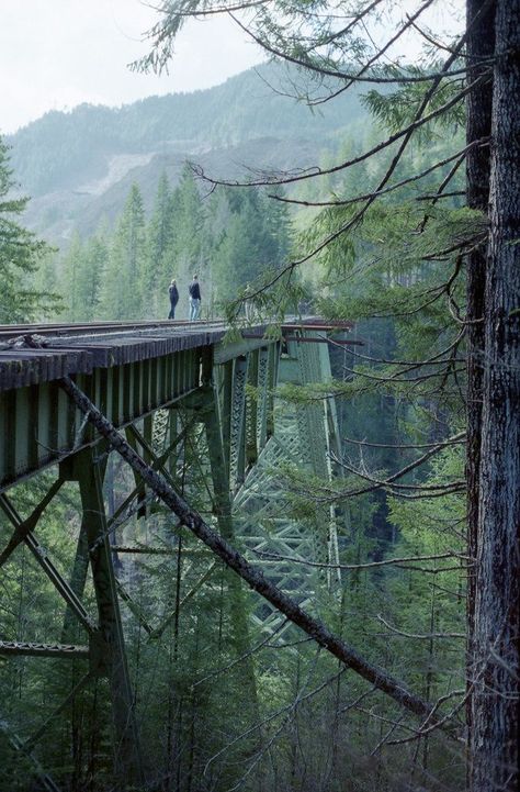 Creek Bridge, Apocalypse Aesthetic, Fotografi Alam Semula Jadi, 판타지 아트, A Bridge, Parkour, Alam Semula Jadi, Nature Aesthetic, Pretty Places