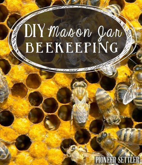 Beekeeping For Beginners, Raising Bees, Building Things, Homestead Ideas, Homesteading Diy, Backyard Beekeeping, Diy Mason Jar, Bee Hives, Homesteading Skills