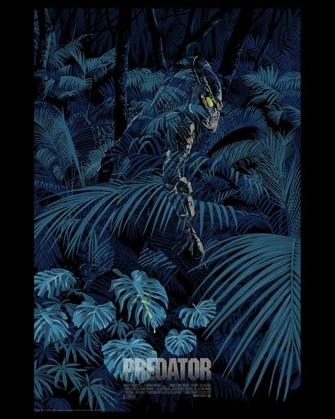 Predator (1987) [900 x 1125] Predator 1987, Predator Artwork, Predator Movie, Grey Matter, Arte Alien, The Predator, Alien Vs Predator, Alien Vs, Alternative Movie Posters