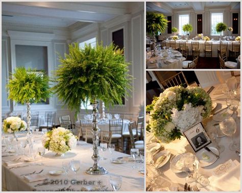 I love ferns and hydrangeas! Fern Centerpiece, Inexpensive Centerpieces, Fern Wedding, Chicago History Museum, Cheap Wedding Venues, Boston Fern, Chicago History, Chicago Wedding Venues, Wedding Sparklers