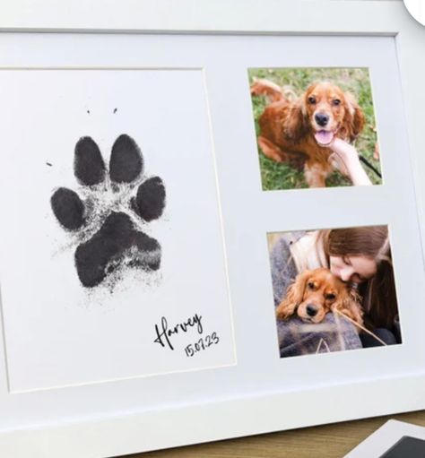 Pet Keepsake Ideas Diy, Dog Paw Art Diy, Dog Keepsake Ideas, Pet Keepsake Ideas, Dog Art Diy, Dog Paw Art, Paw Print Crafts, Dog Shadow Box, Paw Art