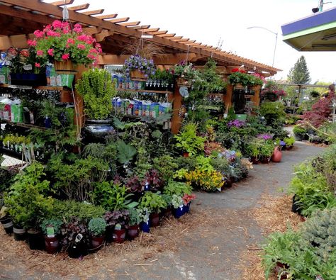 Judy's Enchanted Garden Spokane WA- a favorite of mine Small Garden Center Ideas, Garden Center Ideas, Garden Center Displays, Nursery Layout, The Doom, Home Greenhouse, Blossom Garden, Greenhouse Plans, Plant Shop