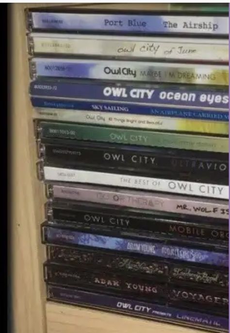 Yo what I havent even seen like half of these on the Owl City website how Gimme Sky Sailing, Camper Christmas, Hipster Aesthetic, Adam Young, City Sky, Memory Board, Owl City, Train Art, City Wallpaper