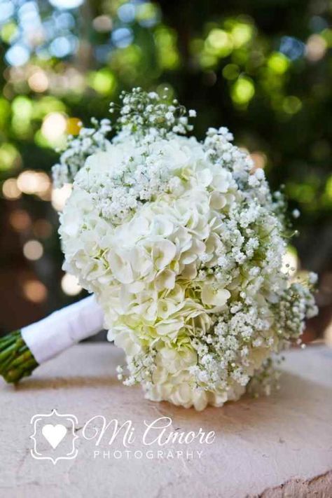 Hydrangea Bouquet Wedding, Wedding Flowers Hydrangea, Hydrangea Bouquet, Boda Mexicana, Baby Breath, Babies Breath, White Wedding Bouquets, Trendy Flowers, White Bouquet