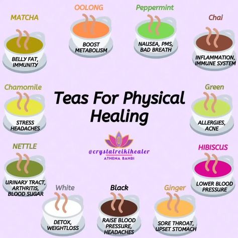 Headache Tea, Fleas Home Remedies, Herbal Diy, Flowering Tea, Benefits Of Tea, Witch Things, Tea Remedies, Homemade Cookbook, Better Habits