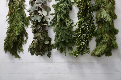 Your Guide to 8 Types of Lasting Greenery for Holiday Decorating Types Of Christmas Greenery, Types Of Garland Christmas, Different Types Of Garland, Olive Branch Garland, Christmas Banister, Xmas Garland, Natural Holiday Decor, Magnolia Decor, Magnolia Garland