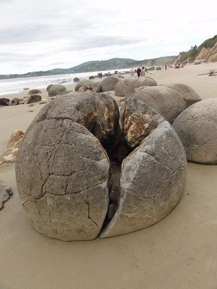 Moeraki Boulders  Hundreds of jumbo marbles are scattered across the Koekohe beach in New Zealand. Are they dragon eggs? Some prehistoric fossil? They are almost completely spherical and believe it or not they were formed over time with concretion and erosion. Moeraki Boulders, Ancient Discoveries, Dragon Eggs, Standing Stones, Geology Rocks, Ancient Animals, We Rock, Standing Stone, Ancient Forest