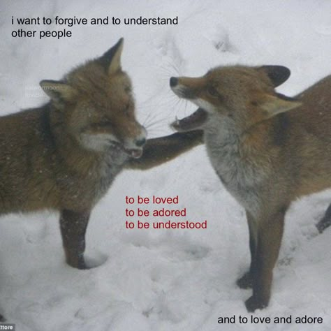 To Be Loved Is To Be Understood, I Want To Be Understood, Deer Poetry, Forgiveness Aesthetic, Canine Poetry, Dog Poetry, To Be Understood, To Love And Be Loved, Unspoken Words