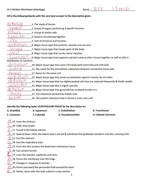 Tissue Worksheet Section A Intro To Histology Answers - Previous to referring to Tissue Worksheet Section A Intro To Histology Answers, remember to recognize that Education is actually our critical for an even better the next day, and understanding won’t only cease once the university bell rings. This getting mentioned, we give you a…  by akademiexcel.com | #TissueWorksheetIntroToHistologyAnswerKey, #TissueWorksheetIntroToHistologyAnswers, #TissueWorksheetSectionA Body Systems Worksheets, Muscle System, Human Population, Biology Worksheet, Anatomy Coloring Book, Integumentary System, Human Tissue, Population Growth, Tissue Types