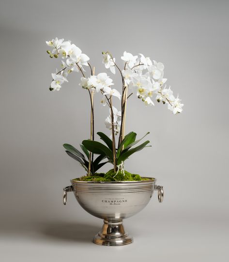 Infuse your home or workspace with instant joie de vivre with the Yenton, a chic floral arrangement beautifully nested in a large silver champagne cooler. Overall arrangement height: 90cm. #artificialorchids #plants #orchids #whiteorchids #silver #interiordesign #interiors Silver Vase Decor, Dhoti Ceremony, Silver Ice Bucket, Orchid Flower Arrangements, Artificial Green Wall, Orchid Centerpieces, Box Flowers, Champagne Cooler, Entryway Table Decor