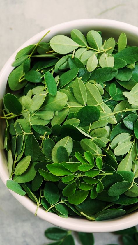 Health Benefits Of Moringa, Strawberry Health Benefits, Benefits Of Moringa, Moringa Benefits, Moringa Tree, Nutrition And Health, Health Images, Moringa Leaves, Improve Nutrition