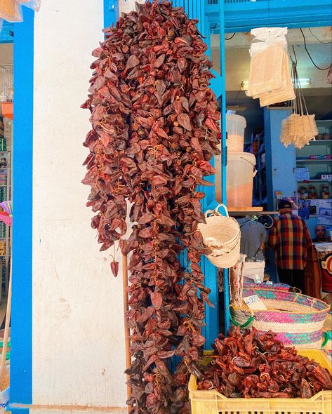 North African Culture, North African Aesthetic, Tunisian Harissa, Tunisia Aesthetic, Tunisian Wedding, Tunisian Aesthetic, Tunisian Clothes, Arab Aesthetic, Mediterranean Aesthetic