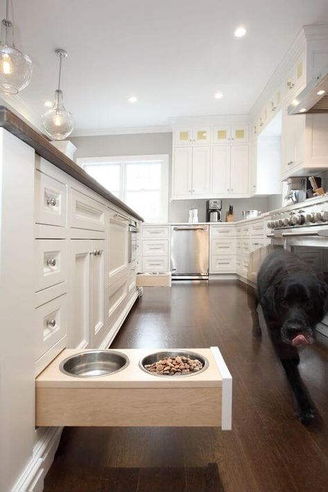 Planning a Kitchen Renovation?  Consider These Cool Storage Hacks — Studio L Interior Design Diy Kitchen Hacks, Cool Storage, Kitchen Storage Hacks, Beautiful Kitchen Designs, Diy Kitchen Renovation, Diy Kitchen Storage, Storage Hacks, Dog Bowl, Kitchen Remodel Idea