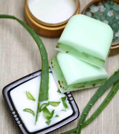 DIY Aloe Vera Soap: A Step By Step Guide To Make Soap At Home Aloe Vera Moisturizer, Aloe Vera Soap, Aloe Soap, Săpunuri Handmade, Aloe Vera For Skin, Baking Soda Benefits, Aloe Vera Skin Care, Make Soap, Natural Kitchen