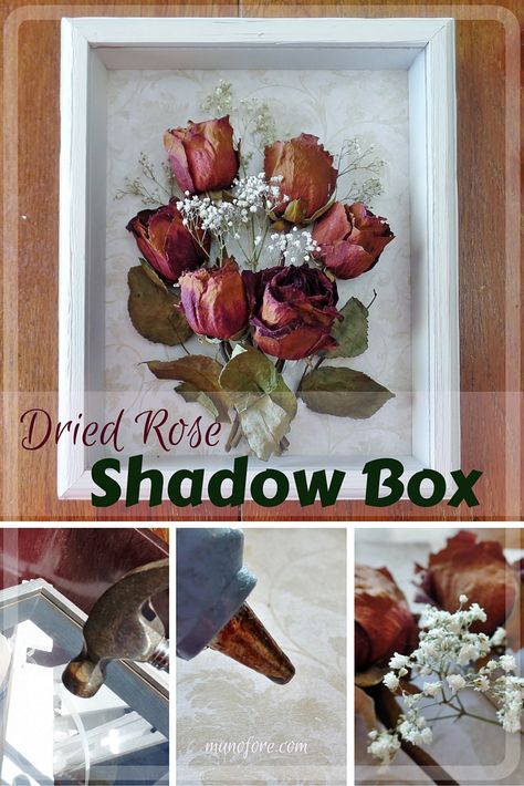 #FridayFrivolity - Dried Rose Shadow Box - simple but beautiful way to display dried flowers. Display Dried Flowers, Dried Flowers Crafts, Pressed Flowers Diy, Rose Shadow, Cadre Diy, Dried Flowers Diy, Drying Roses, Diy Shadow Box, Fleurs Diy