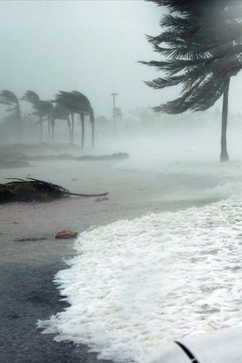 Flood Aesthetic, Floods Pictures, Nature Disaster, Storm Picture, Beach Storm, Storm Photos, Florida Storm, Weather Activities For Kids, Storm Pictures